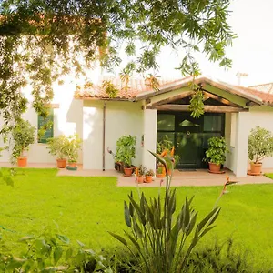Aurora Homestay